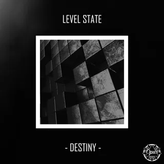 Level State