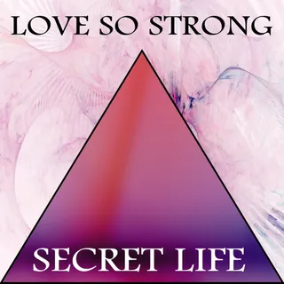 Secret Life