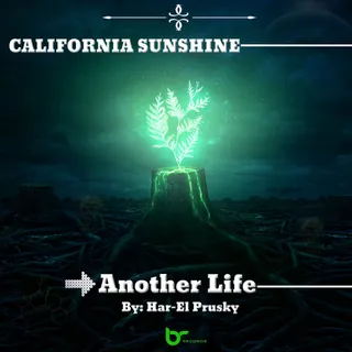 California Sunshine
