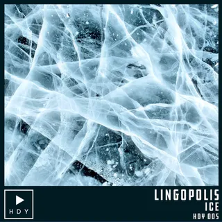 Lingopolus