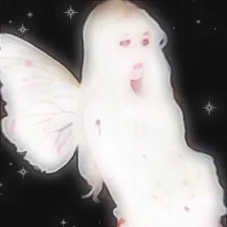 NVSBL