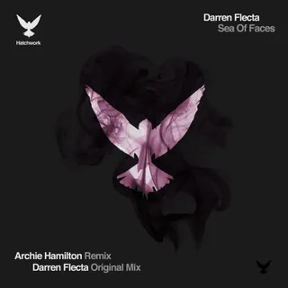 Darren Flecta