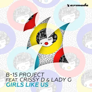B-15 Project