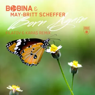 May-Britt Scheffer