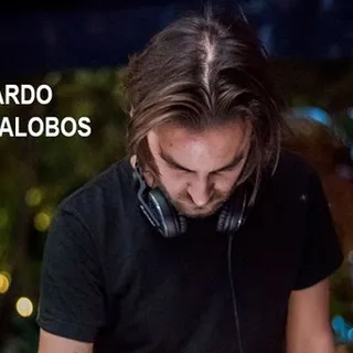 Ricardo Villalobos & Gillings