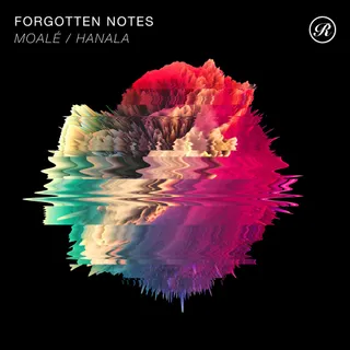 Forgotten Notes