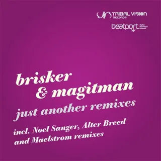 Brisker & Magitman