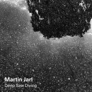 Martin Jarl