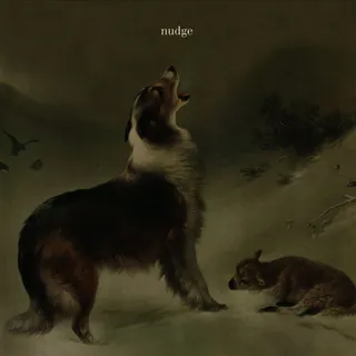 Nudge