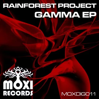 Rain Forest Project