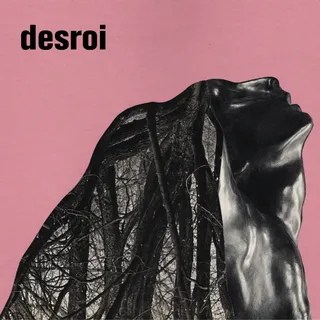 Desroi