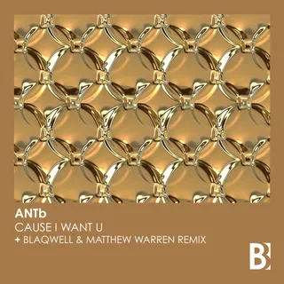 aNtB
