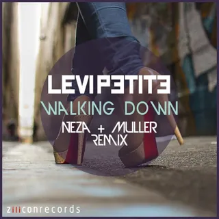 Levi Petite