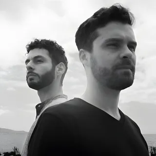 natural/electronic.system