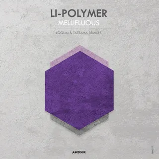 Li-Polymer