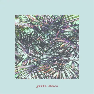 Goose Down
