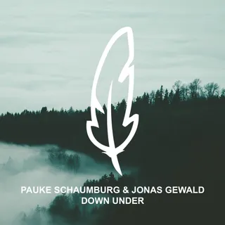 Pauke Schaumburg