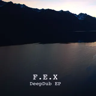 F.E.X.