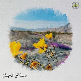South Bloom