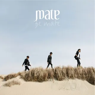 Mate