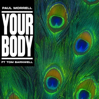 Paul Morrell