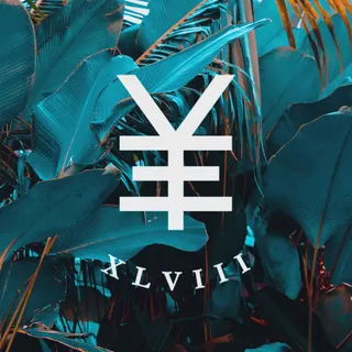 Y.V.E. 48