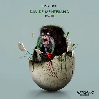 Davide Mentesana