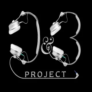 D&B Project