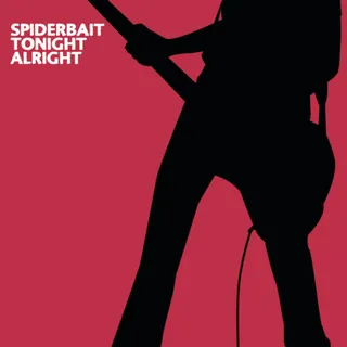 SpiderBait