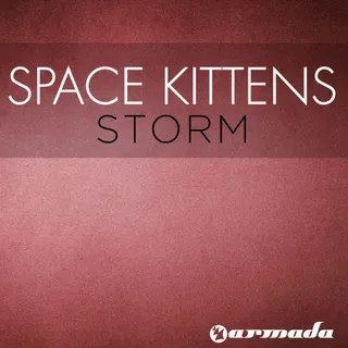 Space Kittens