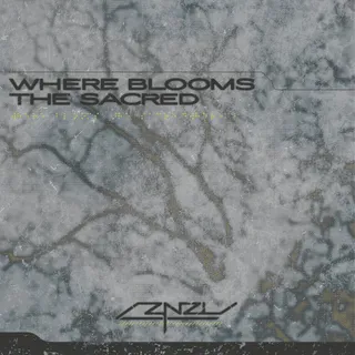 ZNZL