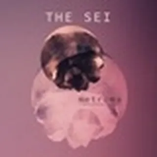 The Sei