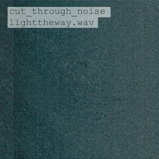 Through Noise