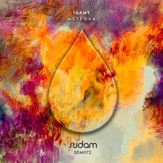TAAMY