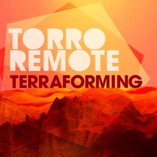Torro Remote