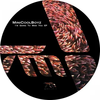 MiniCoolBoyz