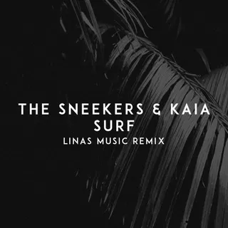 The Sneekers