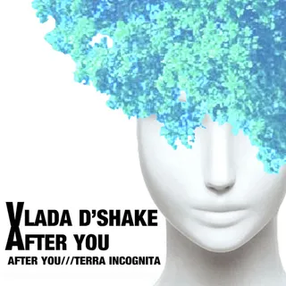 Vlada D'Shake