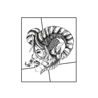 SHDW & Obscure Shape