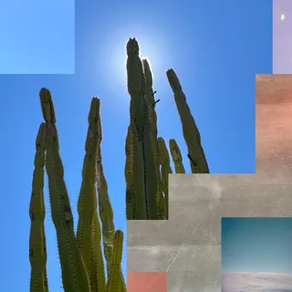 Steve Mill