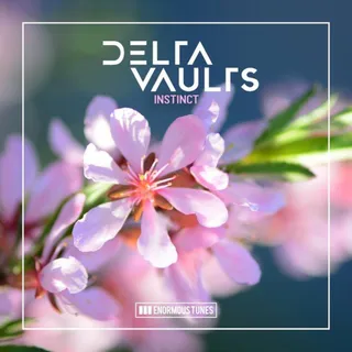 Delta Vaults