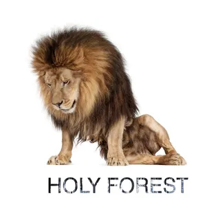 Holy Forest