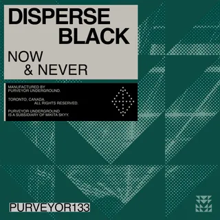 Disperse Black