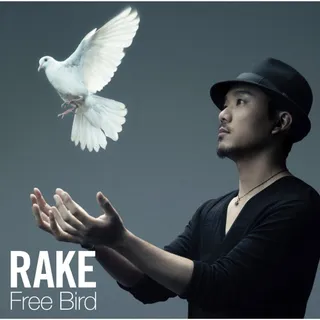 Rake