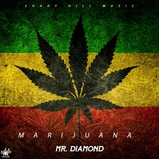 Mr. Diamond