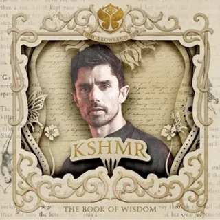 KSHMR @ Mainstage, Tomorrowland Weekend 1, Belgium