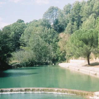 LCAW - Oasis