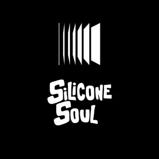 Silicone Soul @ Club Kult Belgrade, Serbia