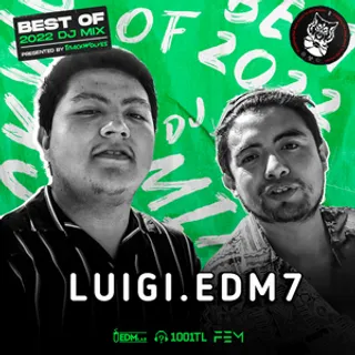 Luigi.edm7 - TrackWolves Best Of 2022 DJ Mix