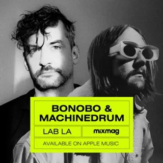 Bonobo